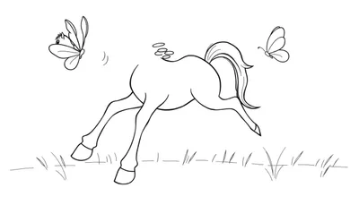 Disegno a contorno di un cavallo che corre con farfalle che gli volano intorno, pronto da colorare.