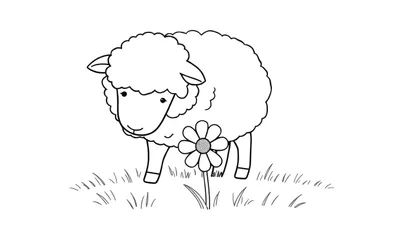 Disegno in bianco e nero di una pecora stilizzata in un prato con una margherita.