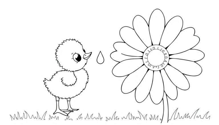 Disegno da colorare di un pulcino stilizzato che guarda una margherita stilizzata, con una goccia sopra e erba sotto.